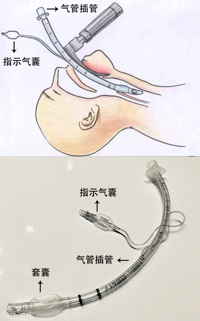 赞！！！250万指示气囊，客户100%满意！